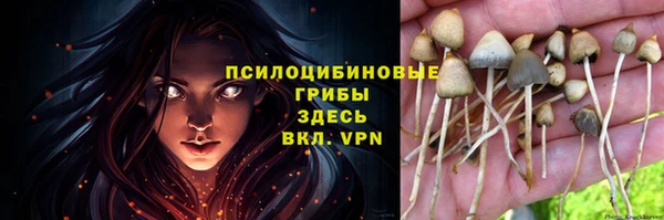 молекула духа Кулебаки