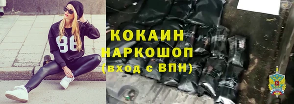 молекула духа Кулебаки